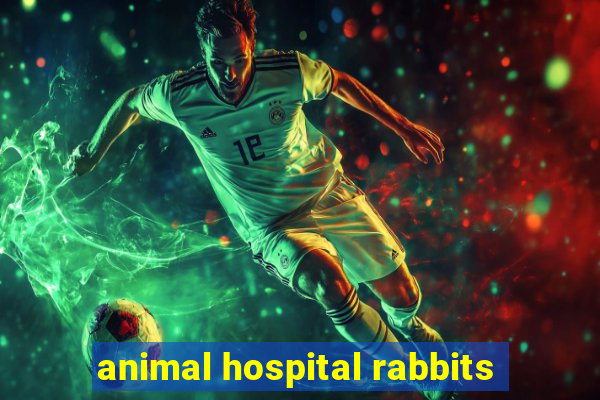 animal hospital rabbits